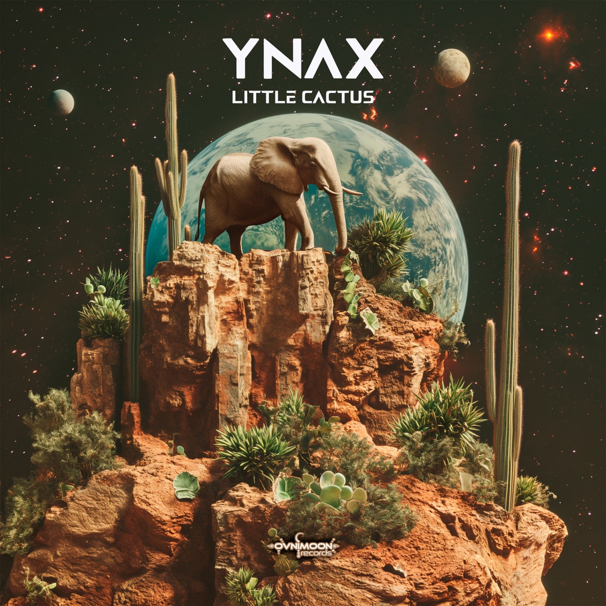Little Cactus - Single by Ynax album cover