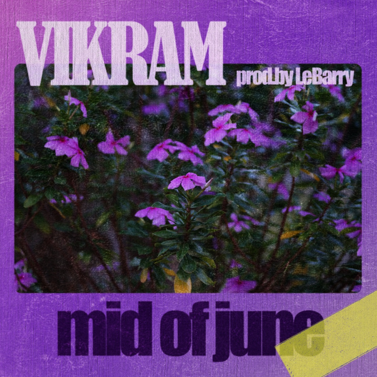 Mid of June - Single by V I K R A M & LeBarry album cover