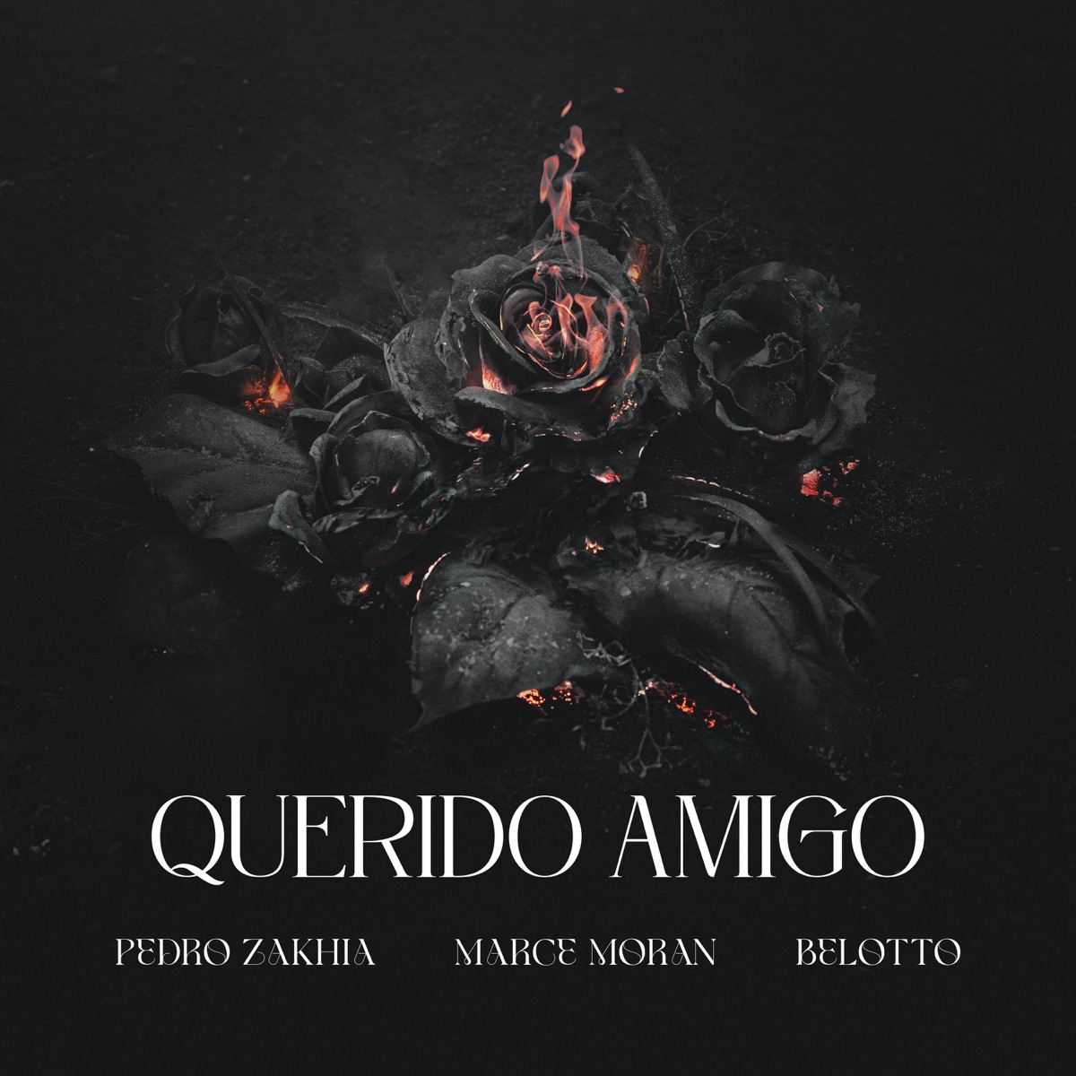 Querido Amigo - Single by Pedro Zakhia & Marce Moran album cover