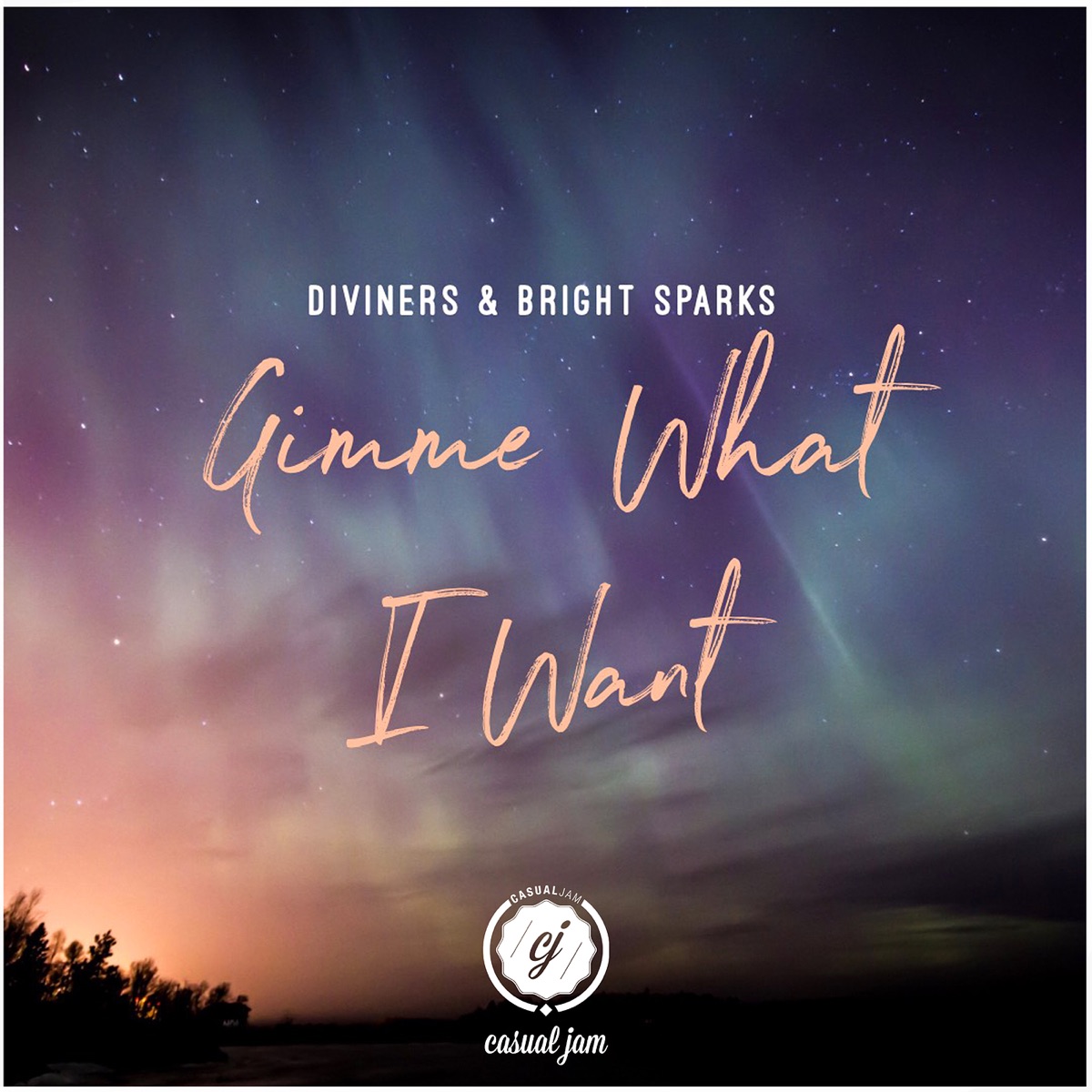 Gimme What I Want - Single by Diviners & Bright Sparks album cover