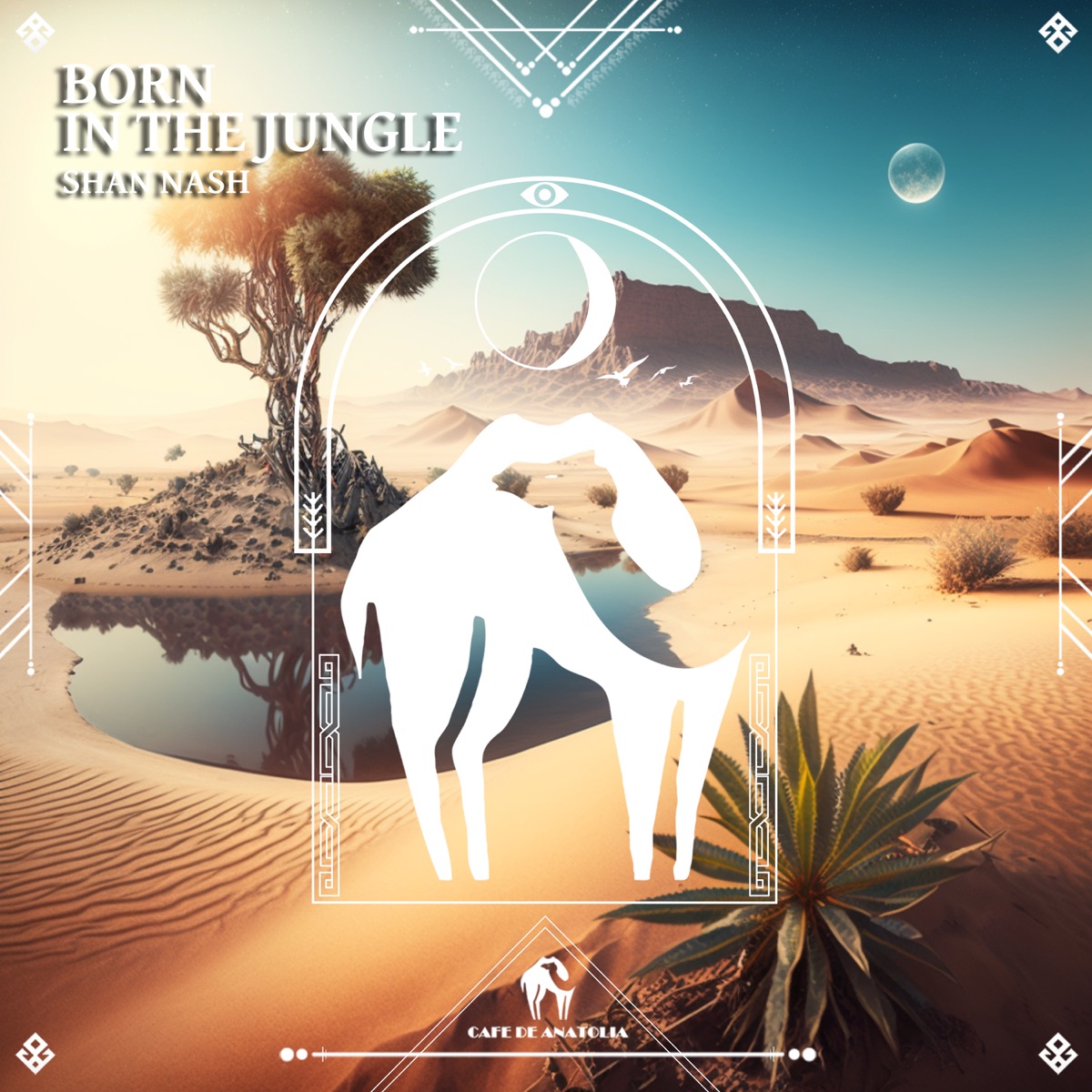 Born in the Jungle - Single by Shan Nash & Cafe De Anatolia album cover