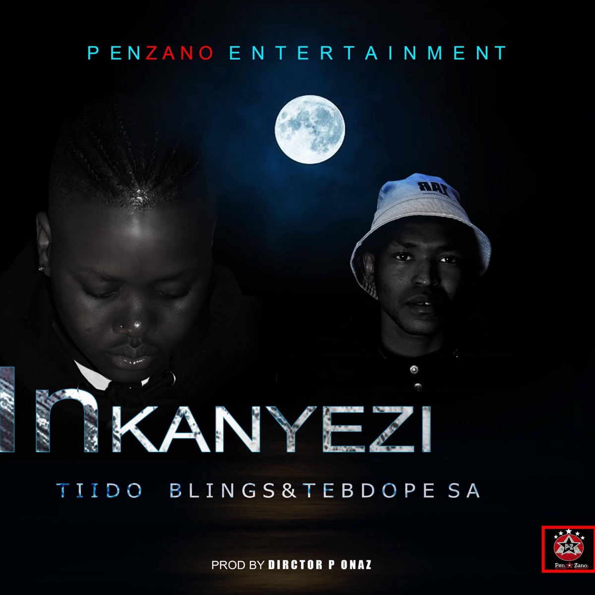 Inkanyezi - Single by Tiido Blings & Tebdope SA album cover