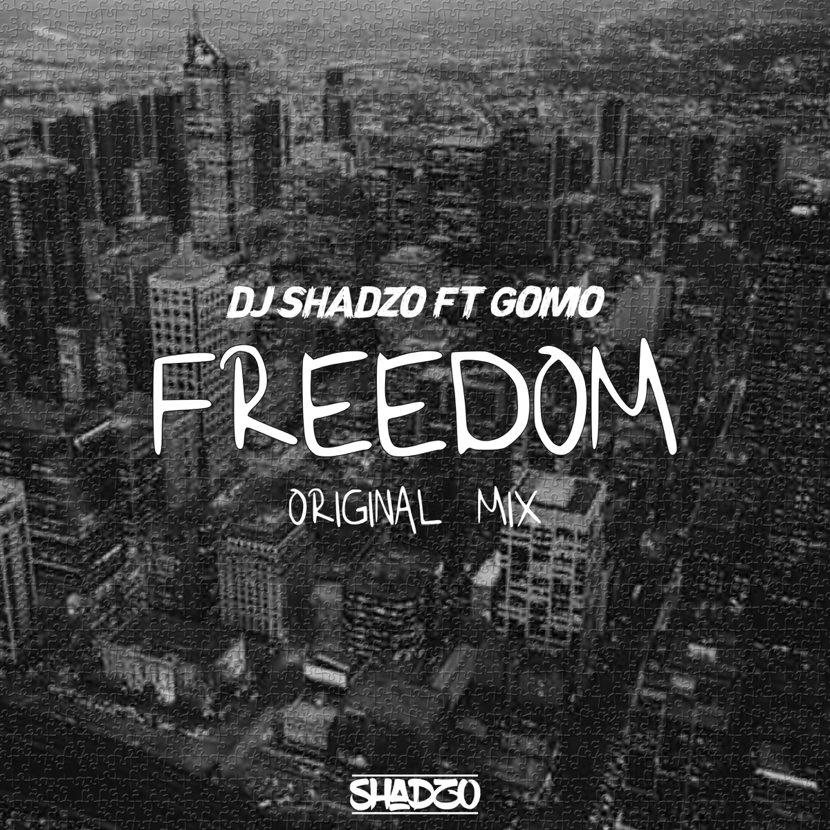 Freedom (feat. Gomo) - Single by Dj Shadzo album cover