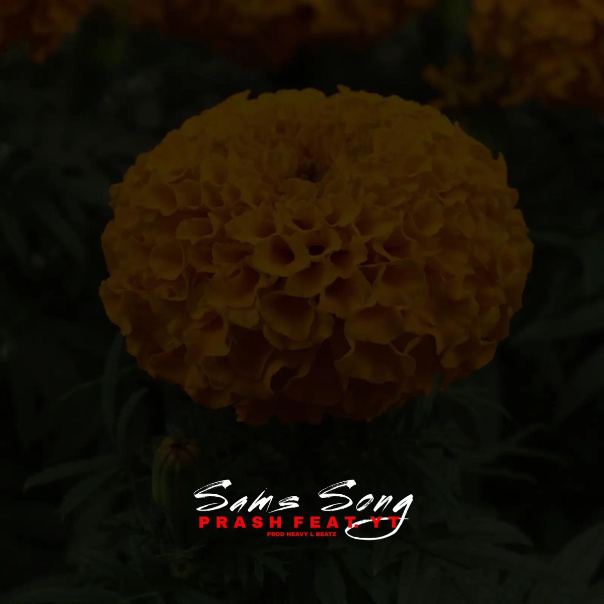 Sam's Song (feat. Y.T. & Heavy L Beatz) - Single by Prash album cover