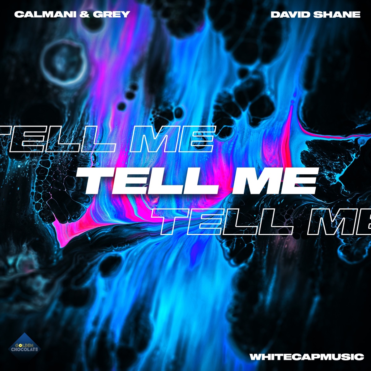 Tell Me - Single by Calmani & Grey, David Shane & WhiteCapMusic album cover