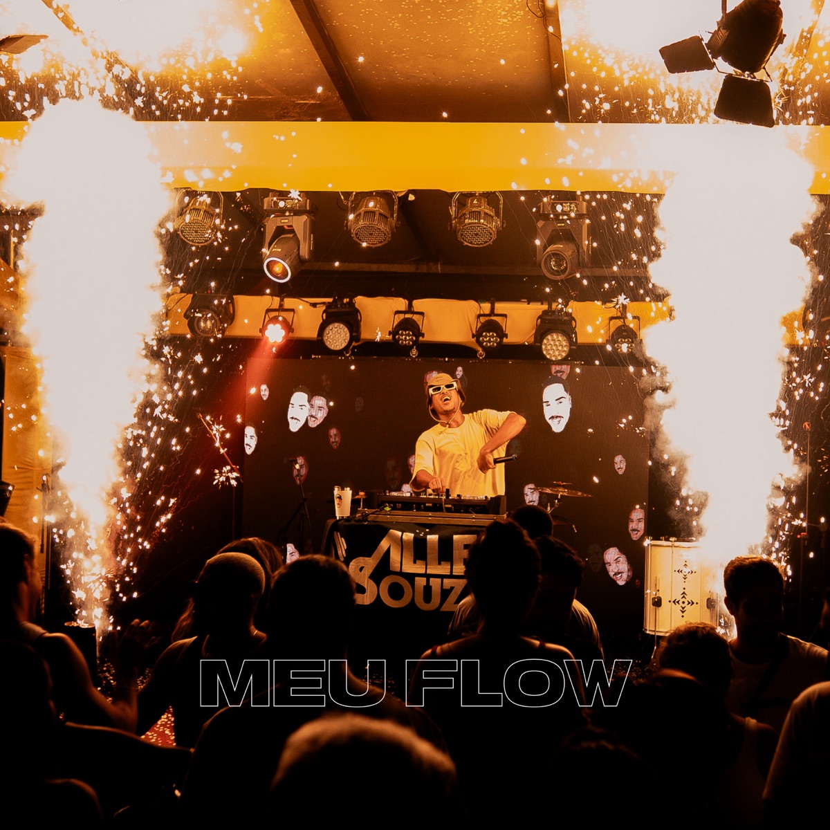 Meu Flow - Single by DJ Alle Souza album cover