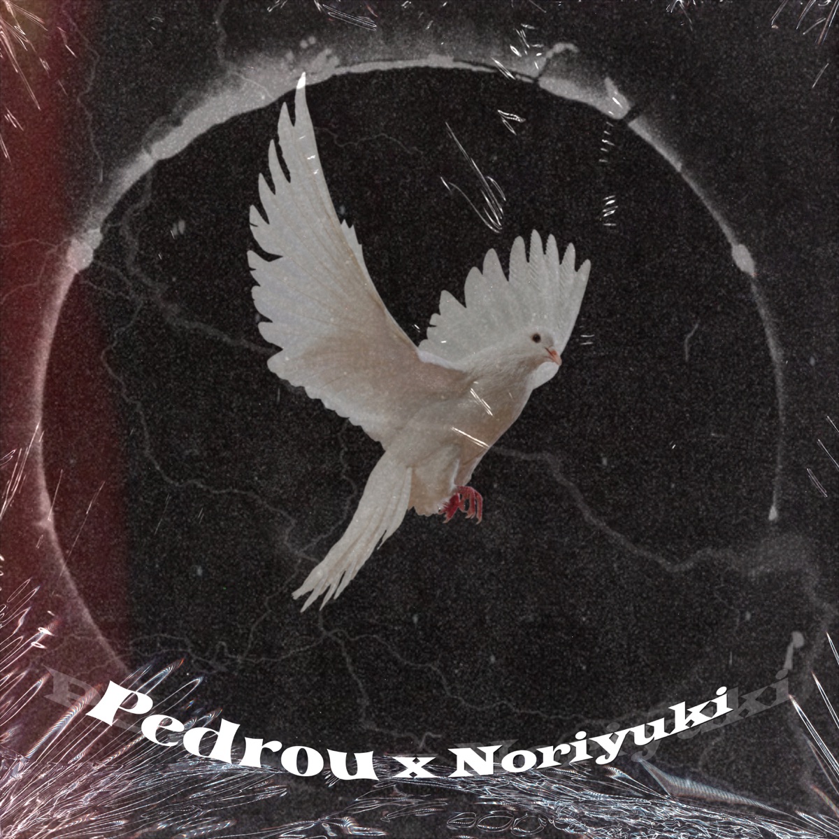 Ao Rei - Single by Pedrou & Noriyuki album cover