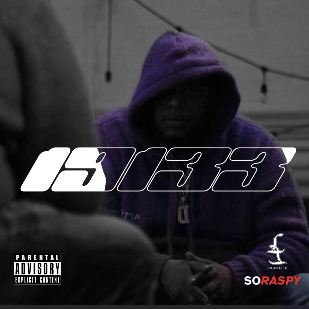 19133 by D. Jones album cover