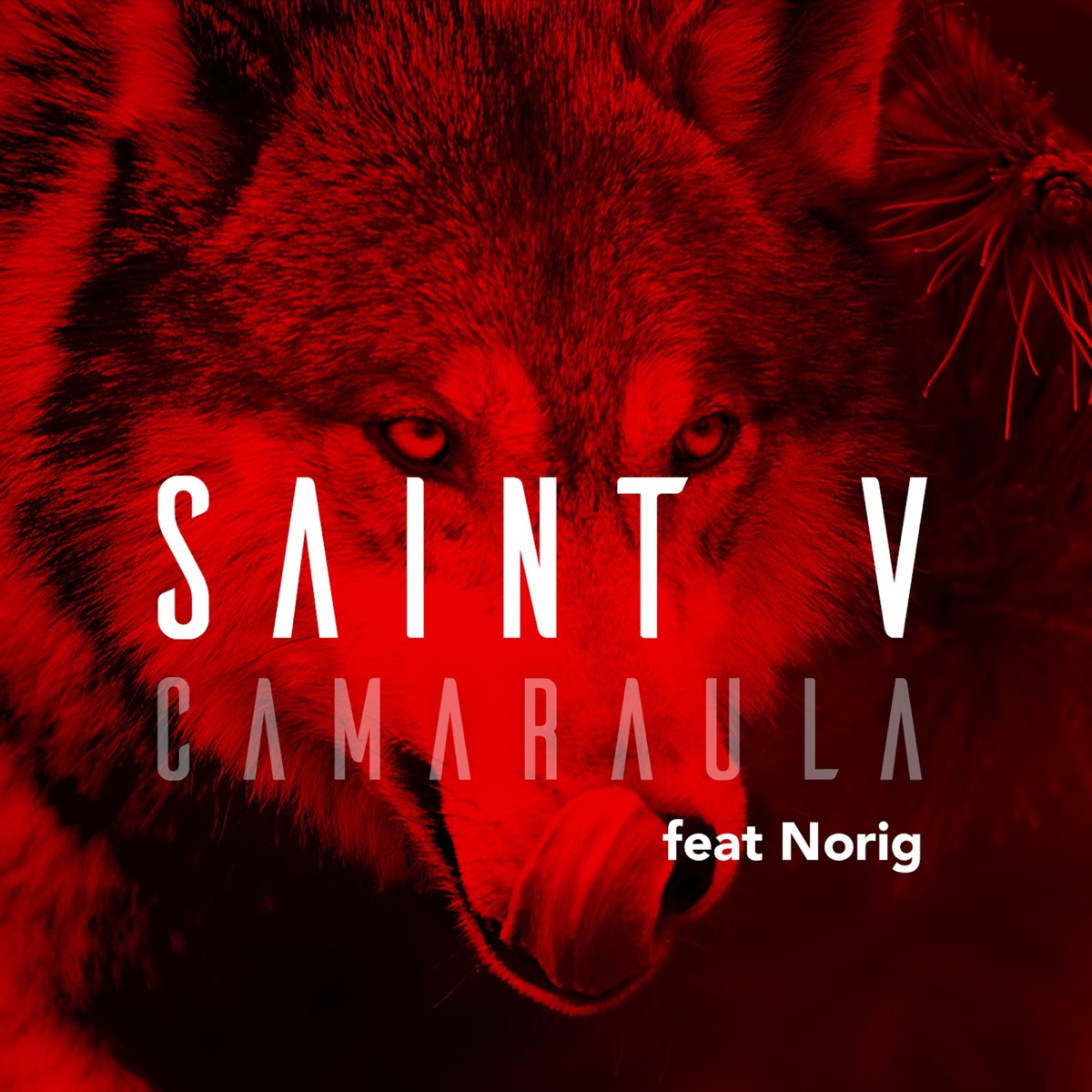 Camaraula (feat. Norig) - Single by Saint-V album cover