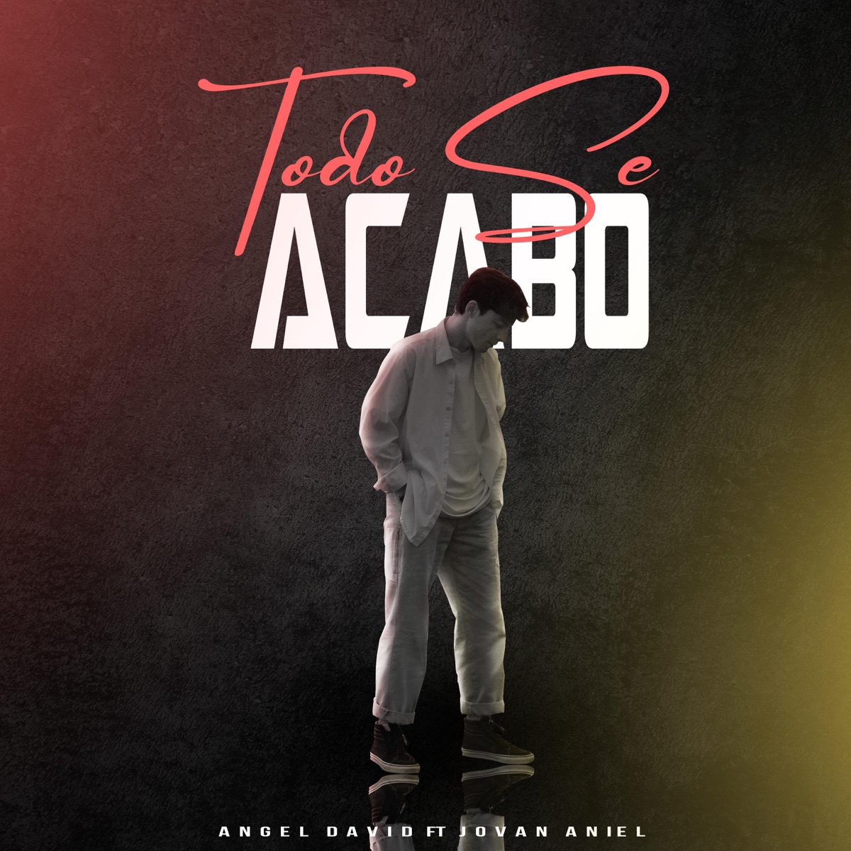 Todo se acabo (feat. Jovan Aniel) - Single by Angel David Music album cover