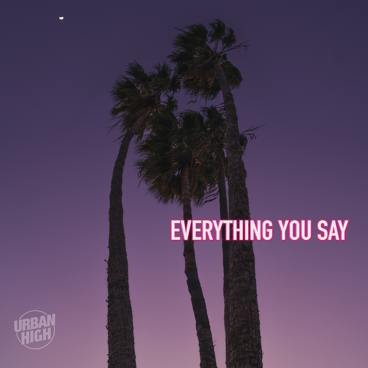 Everything You Say - Single by Urban High & Marcel do Céu album cover