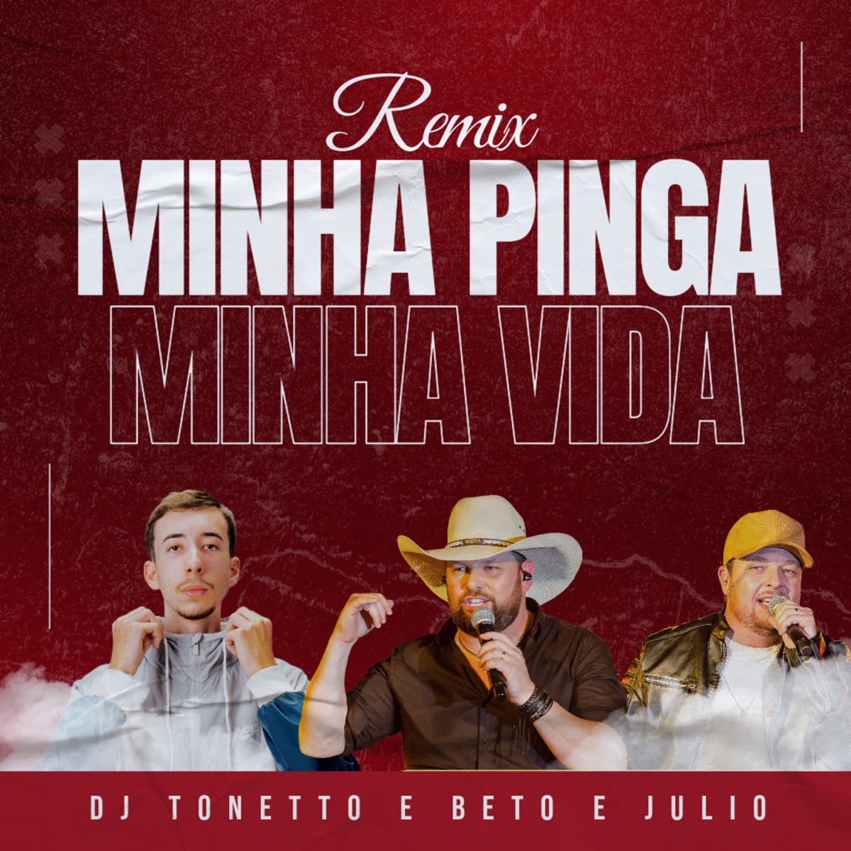 Minha Pinga Minha Vida (Remix) - Single by Dj Tonetto & Beto e Julio album cover