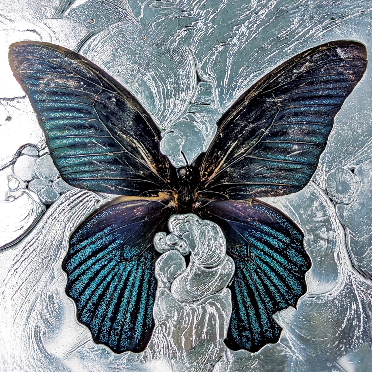 Nymph_O by Shygirl album cover