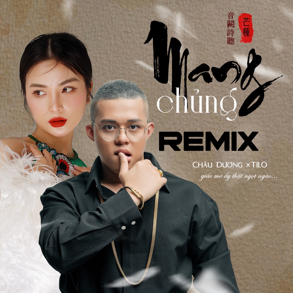 Mang Chủng (feat. DJ TiLo) [Remix] - Single by Châu Dương album cover
