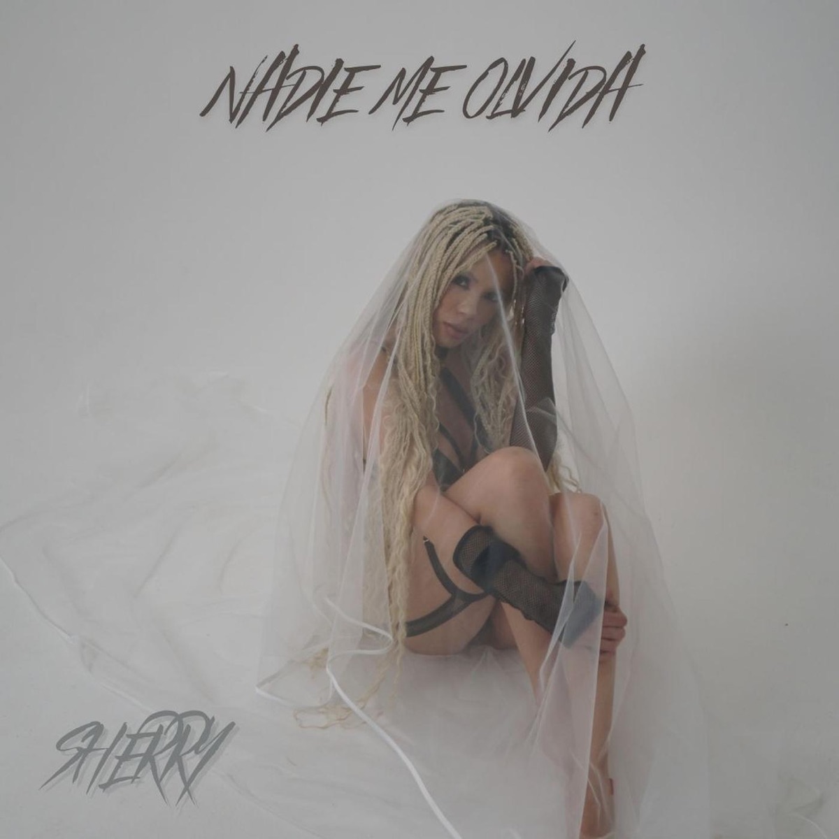Nadie Me Olvida - Single by sherry album cover