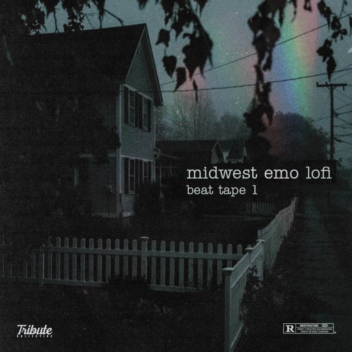 Midwest Emo Lofi 1 by Tribute Collective album cover