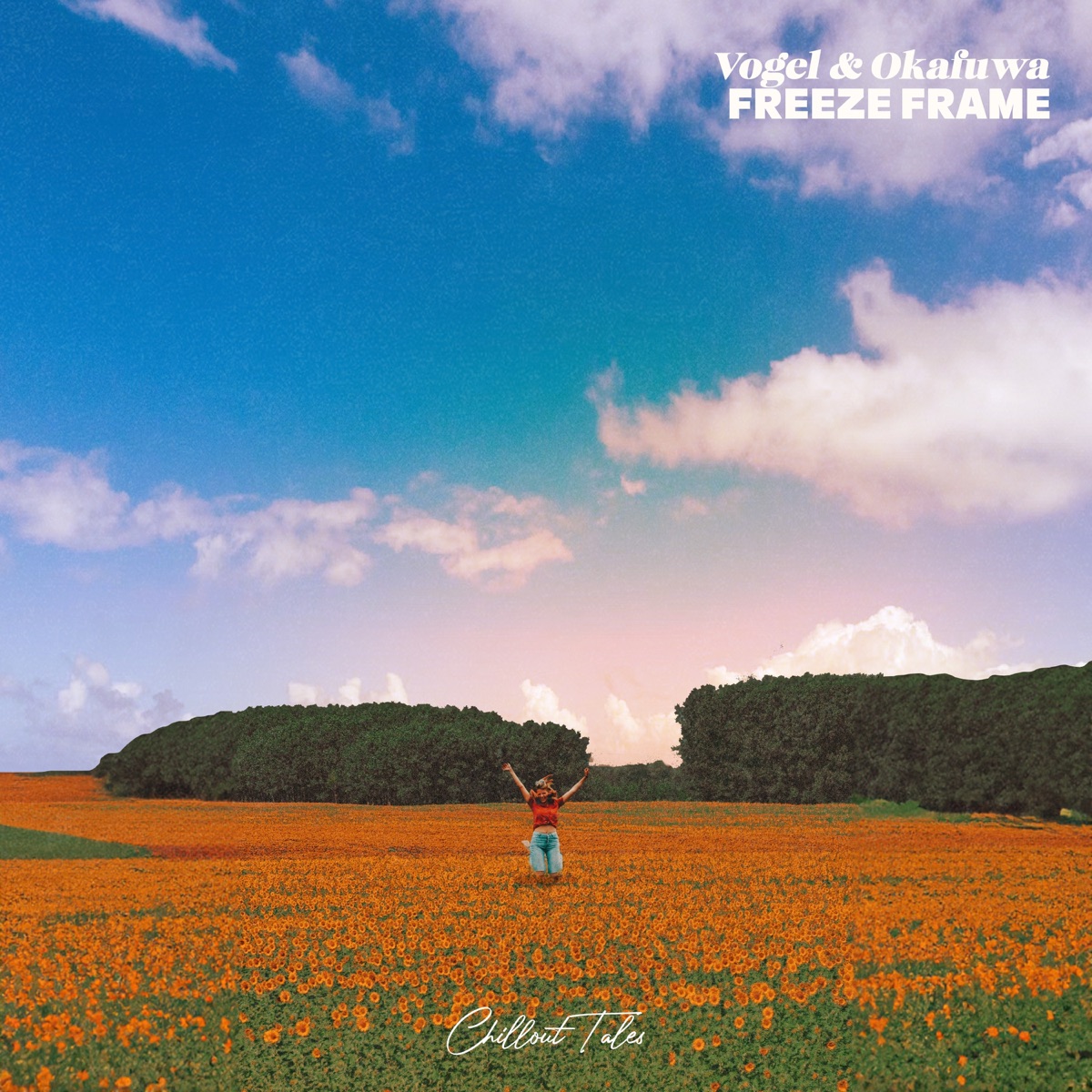Freeze Frame - Single by Vogel & okafuwa album cover