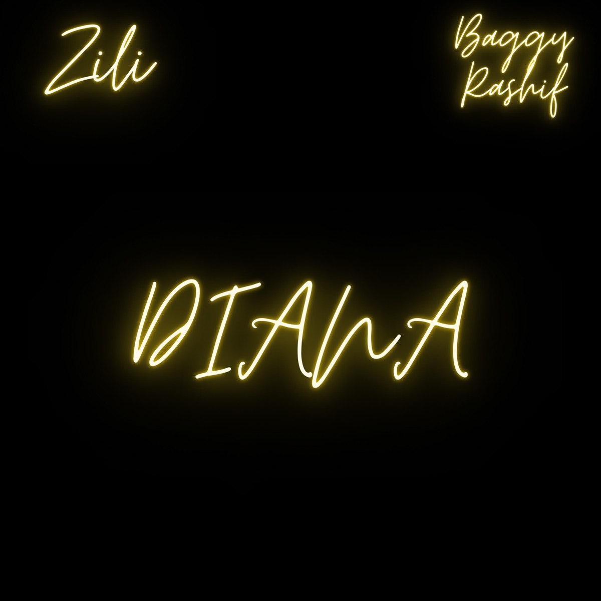 Diana - Single by Zili & Baggy Rashid album cover