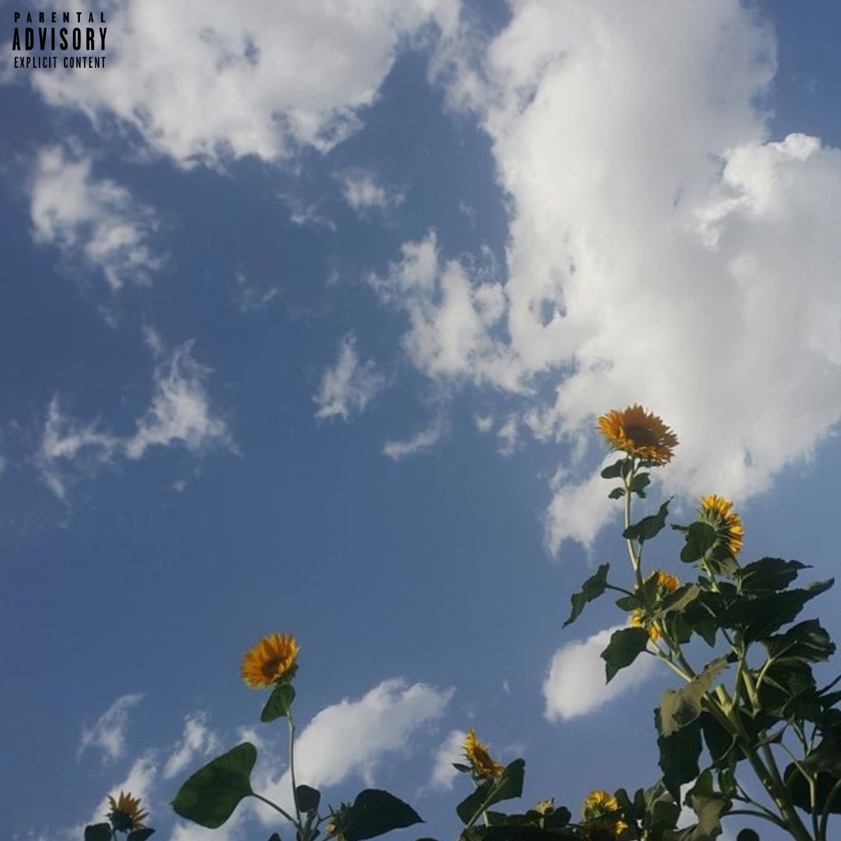 IDC (feat. dopesfiq) - Single by senseDyello album cover