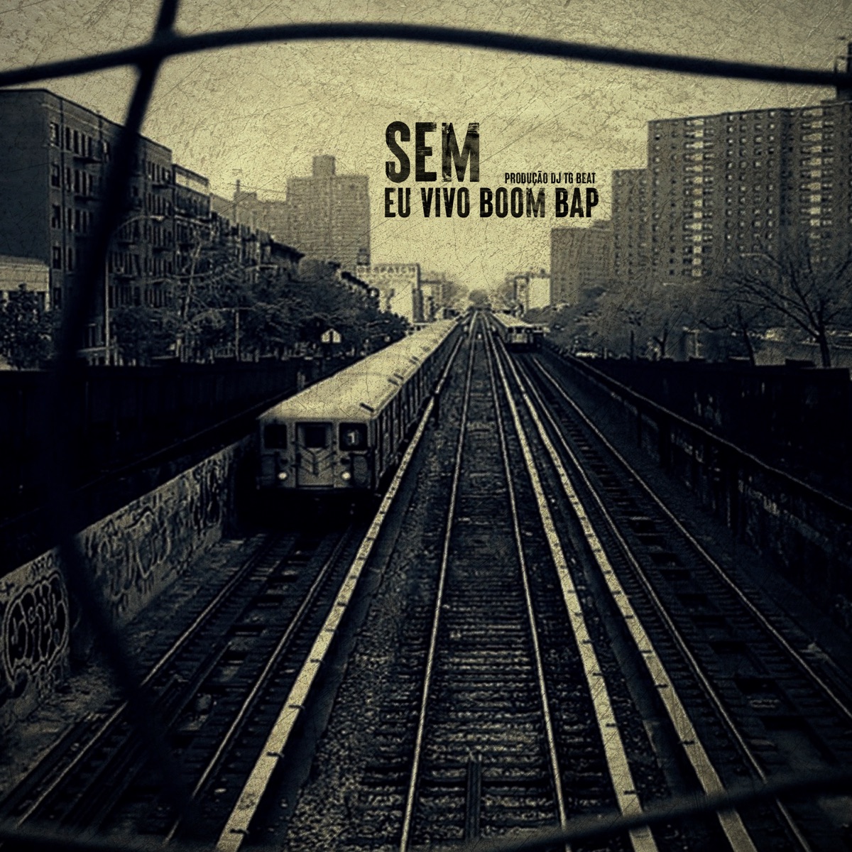 Eu Sou Boom Bap (feat. Rec Livre) - Single by dj tg beat album cover