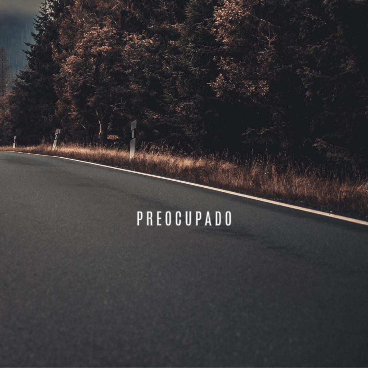 Preocupado (1.0) - Single by Iberican album cover