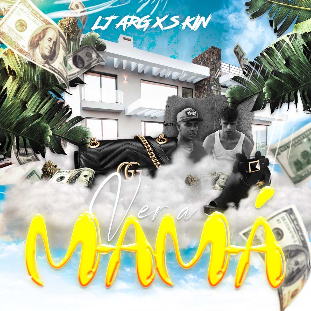 Ver a Mamá - Single by LJ ARG & S KIN album cover