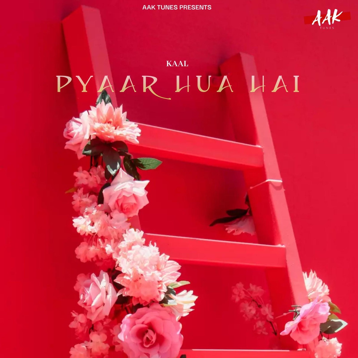 Pyaar Hua Hai - Single by KAAL/ AAK TUNES album cover