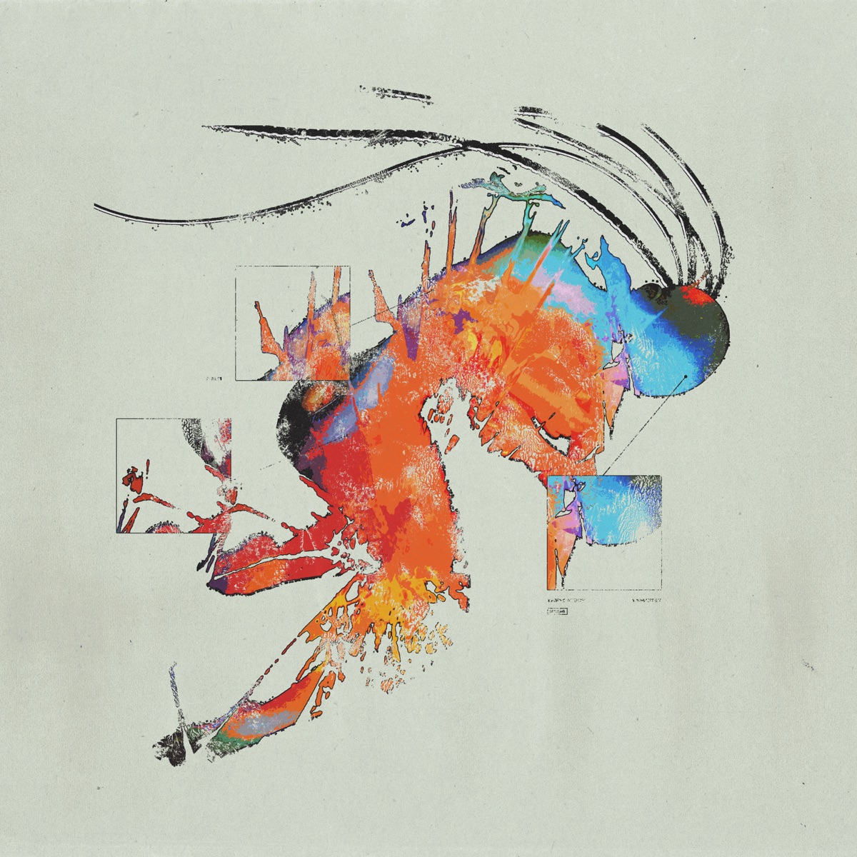 No Sunset for Soul - EP by Monty album cover