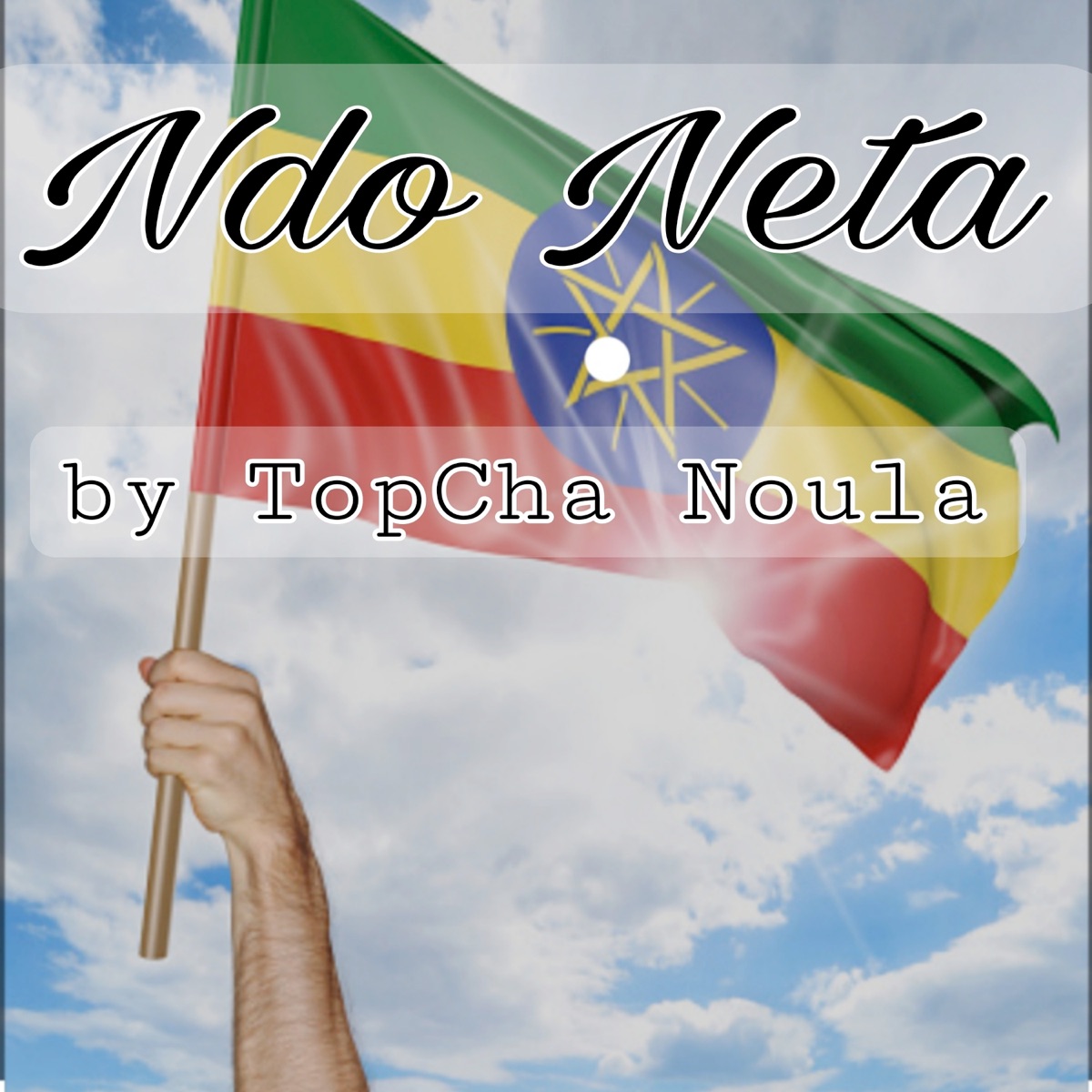 Ndo Neta - Single by TopCha Noula album cover