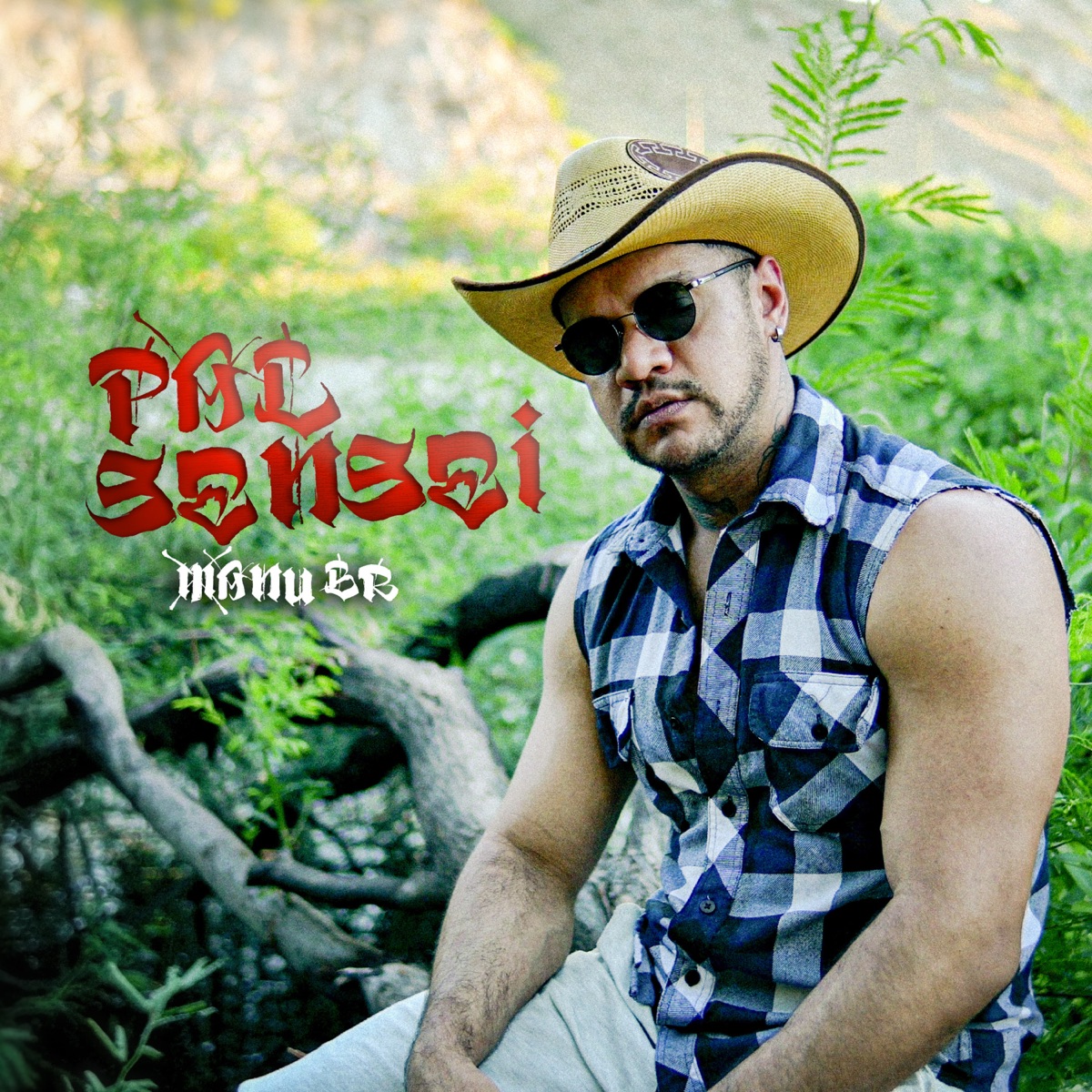Pal Sensei - Single by Manu Br album cover