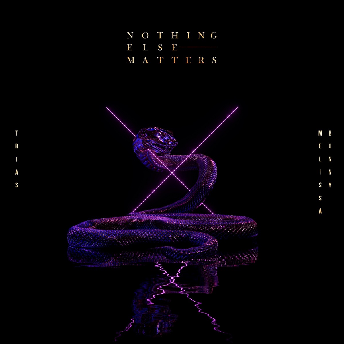 Nothing Else Matters - Single by Trias & Melissa Bonny album cover