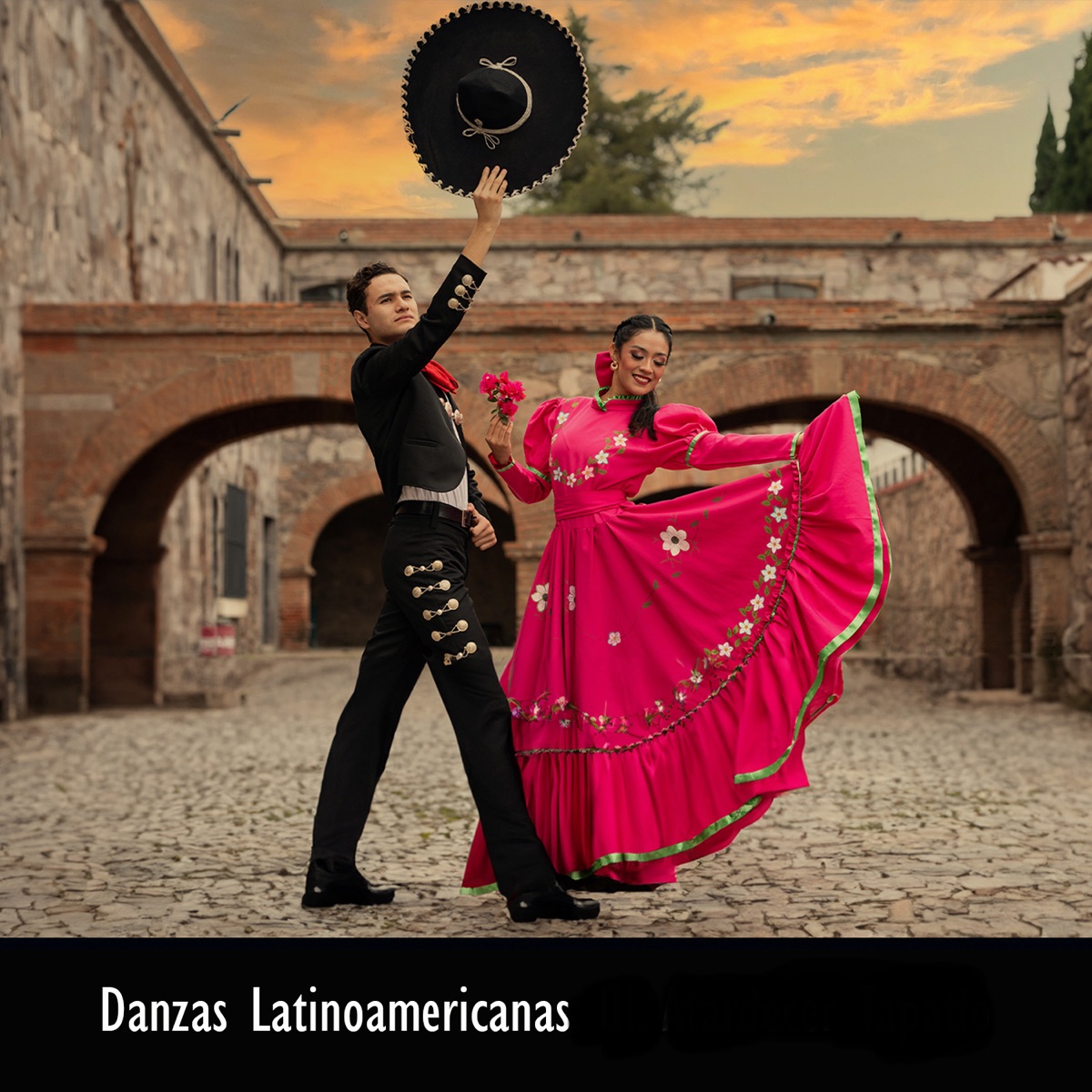 Danzas Latinoamericanas - Single by Ana Turkalj, Alessandro Tardino, José Adolfo Alejo & Jose Elizondo album cover