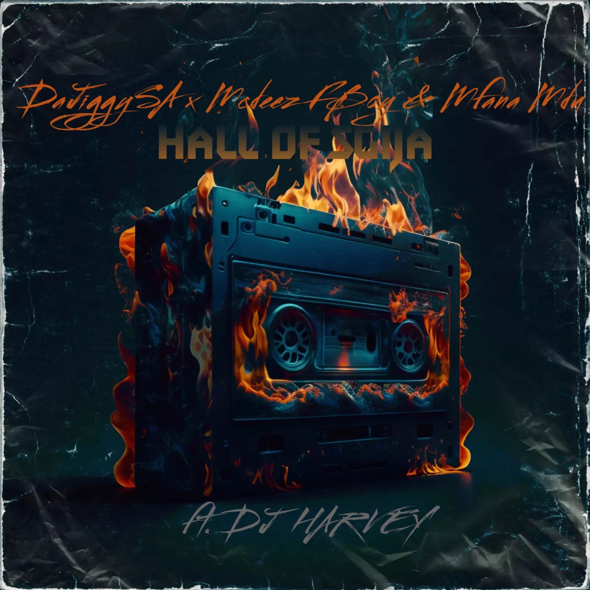 Hall of Sgija (feat. DJ Harvey) - Single by DaJiggySA, Mcdeez Fboy & Mfana Mdu album cover