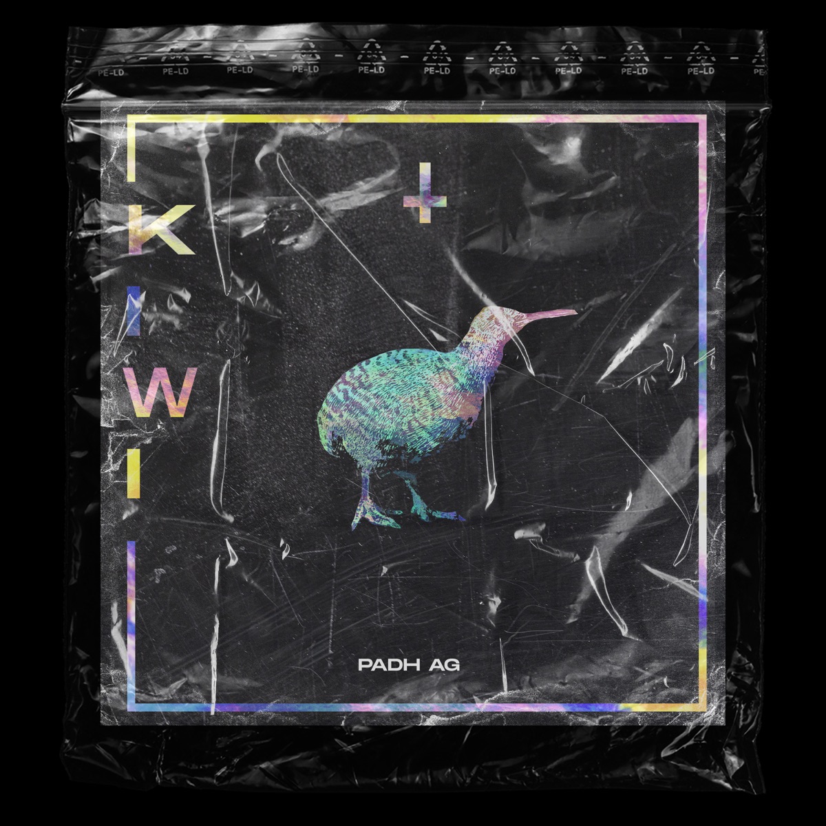 Kiwi - Single by padh ag album cover