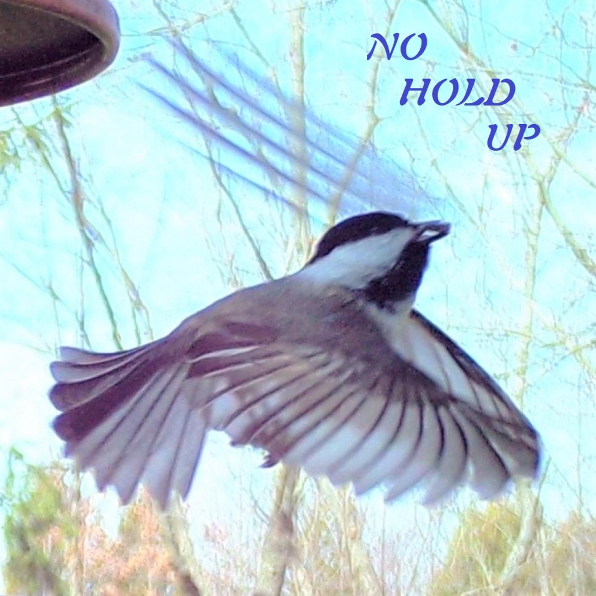 No Hold Up - Single by Ralph Billingsley album cover