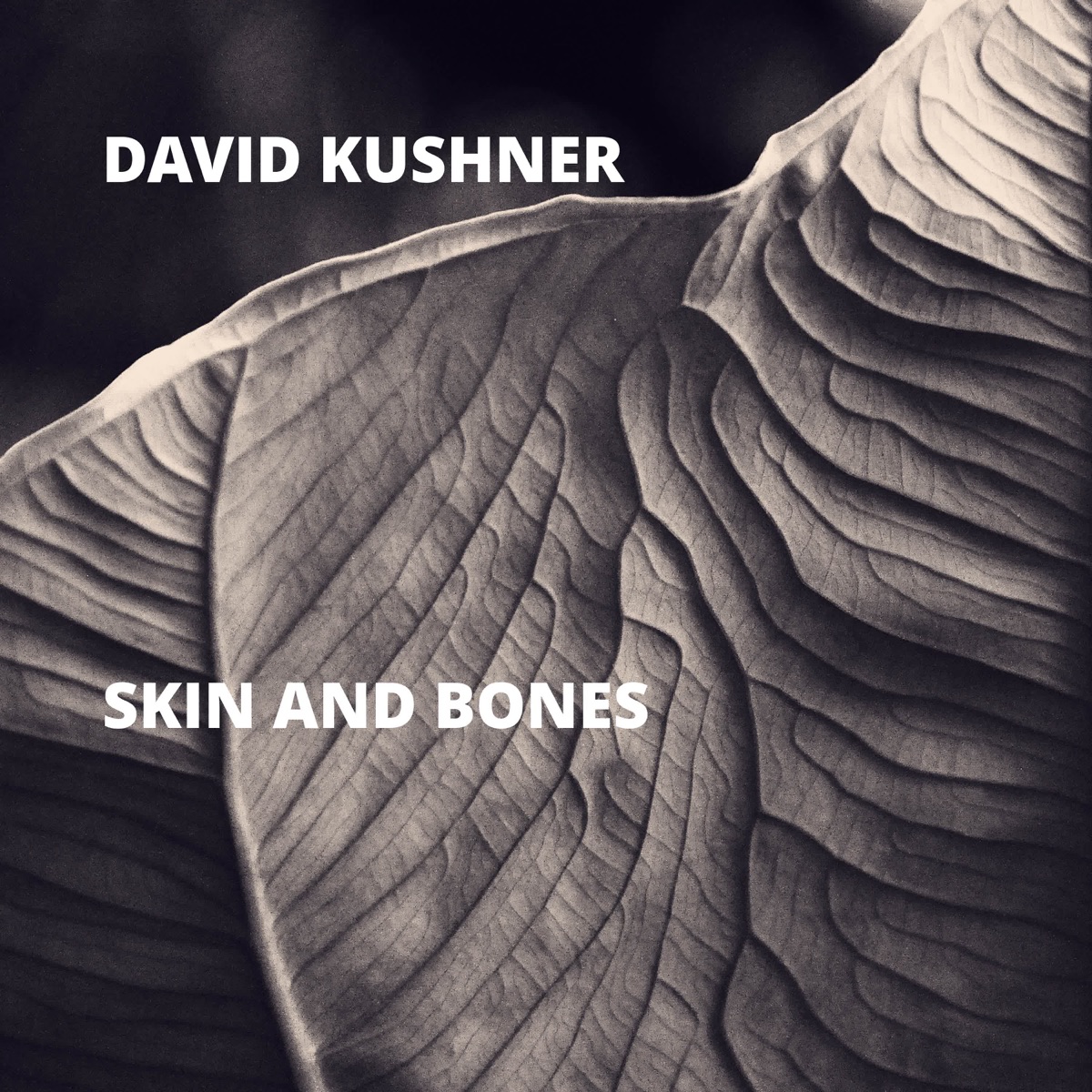 Skin and Bones - Single by David Kushner album cover