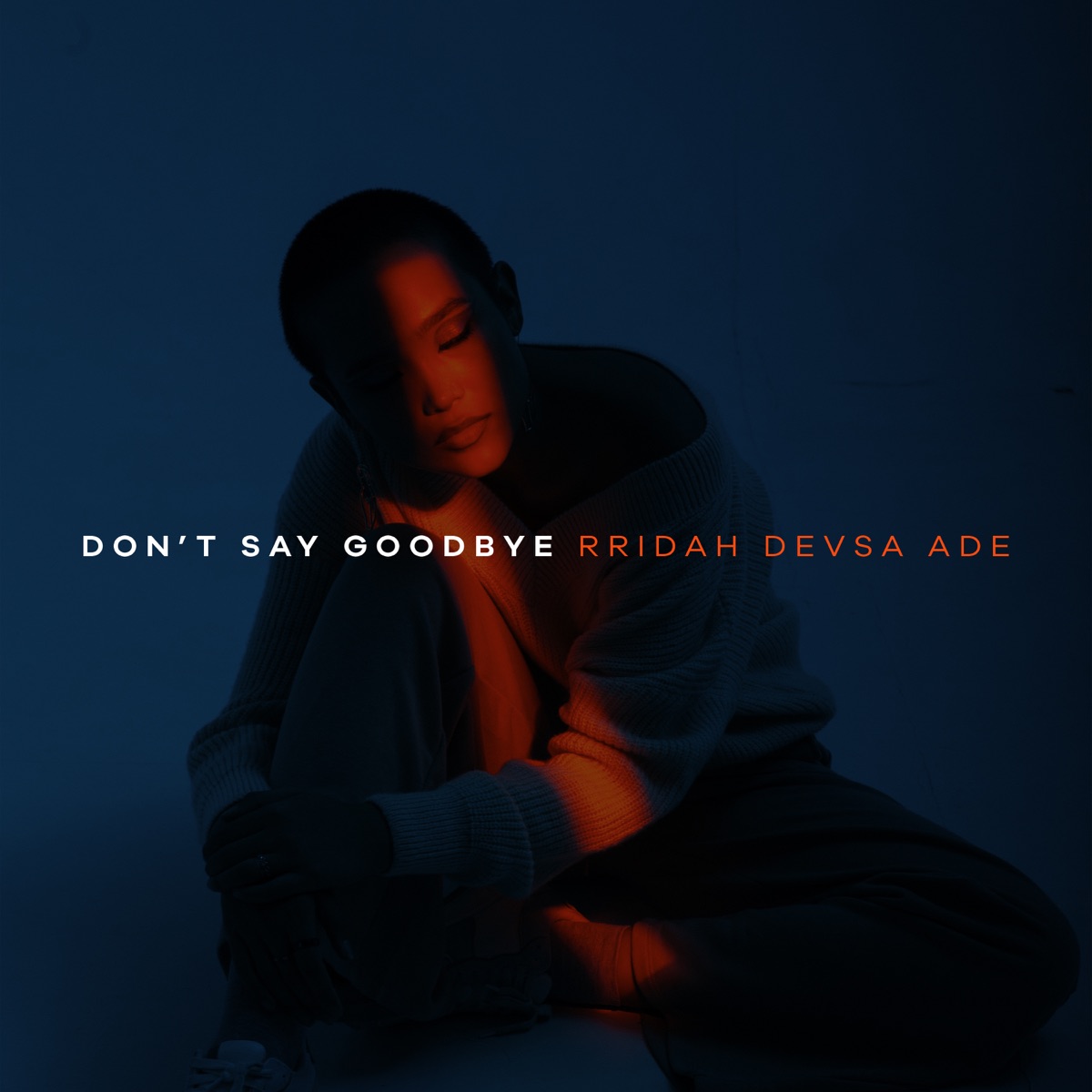 Don't Say Goodbye - Single by RRIDAH, DEVSA & Ade album cover