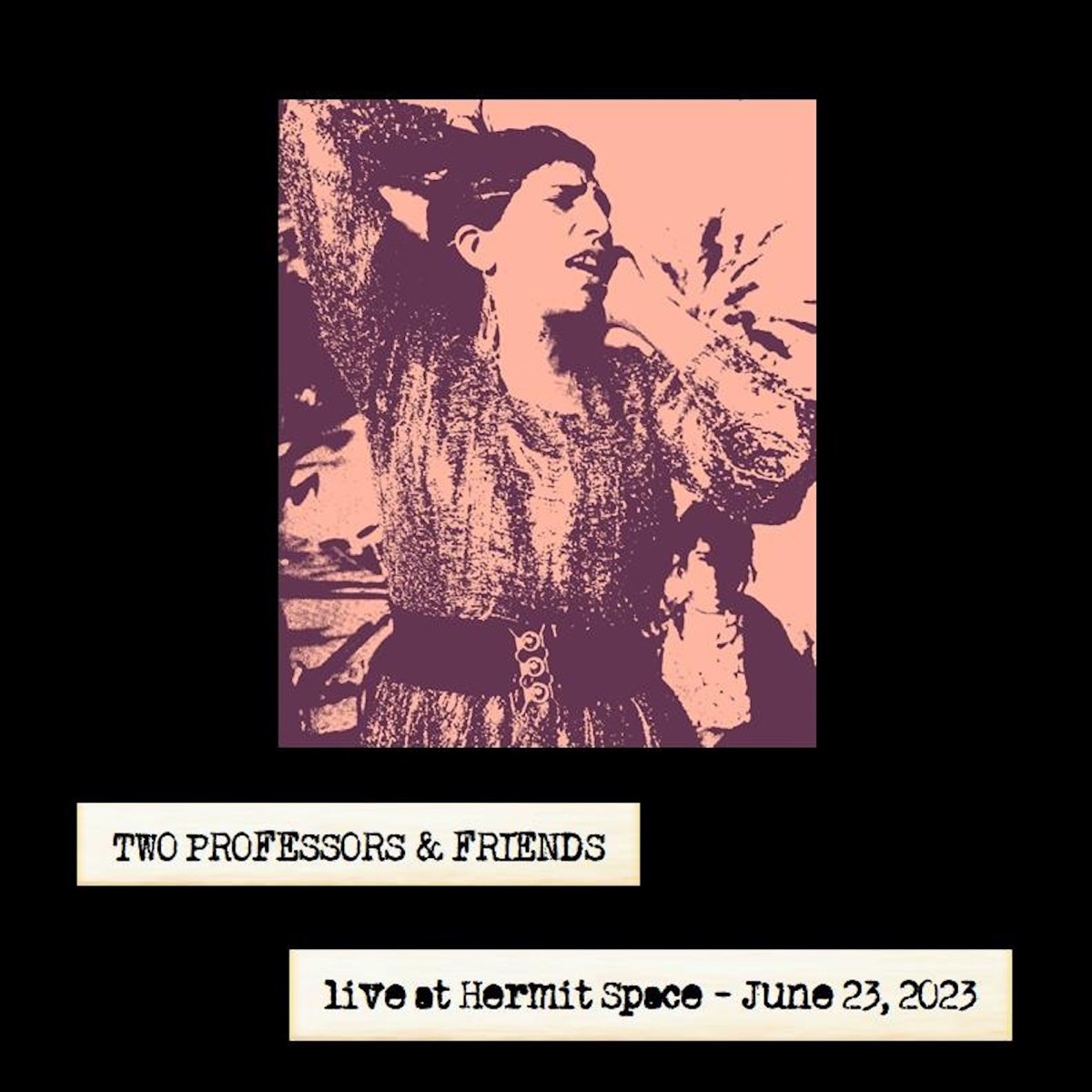 Live at Hermit Space by Two Professors album cover