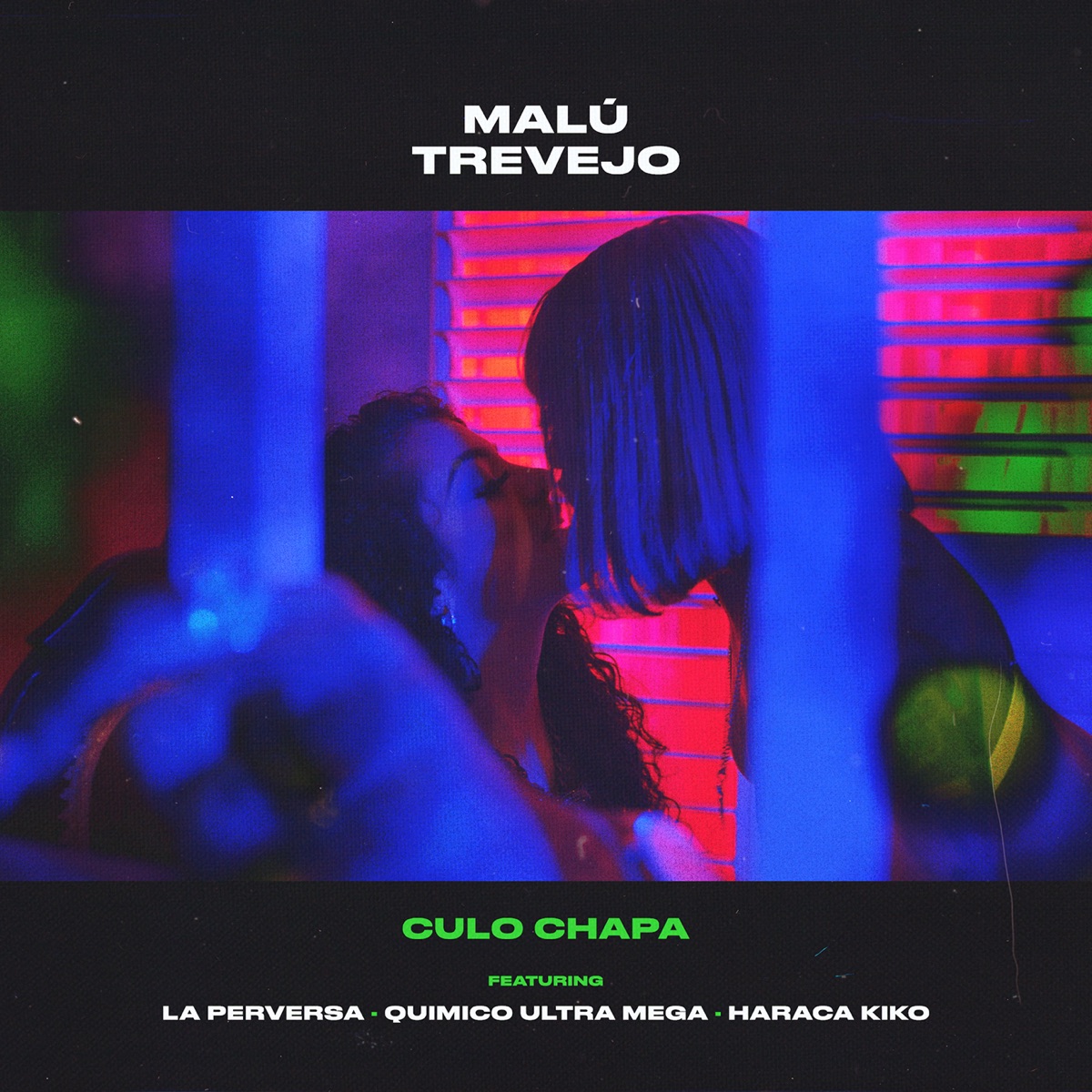 Culo Chapa (feat. La Perversa, Quimico Ultra Mega & Haraca Kiko) - Single by Malú Trevejo album cover