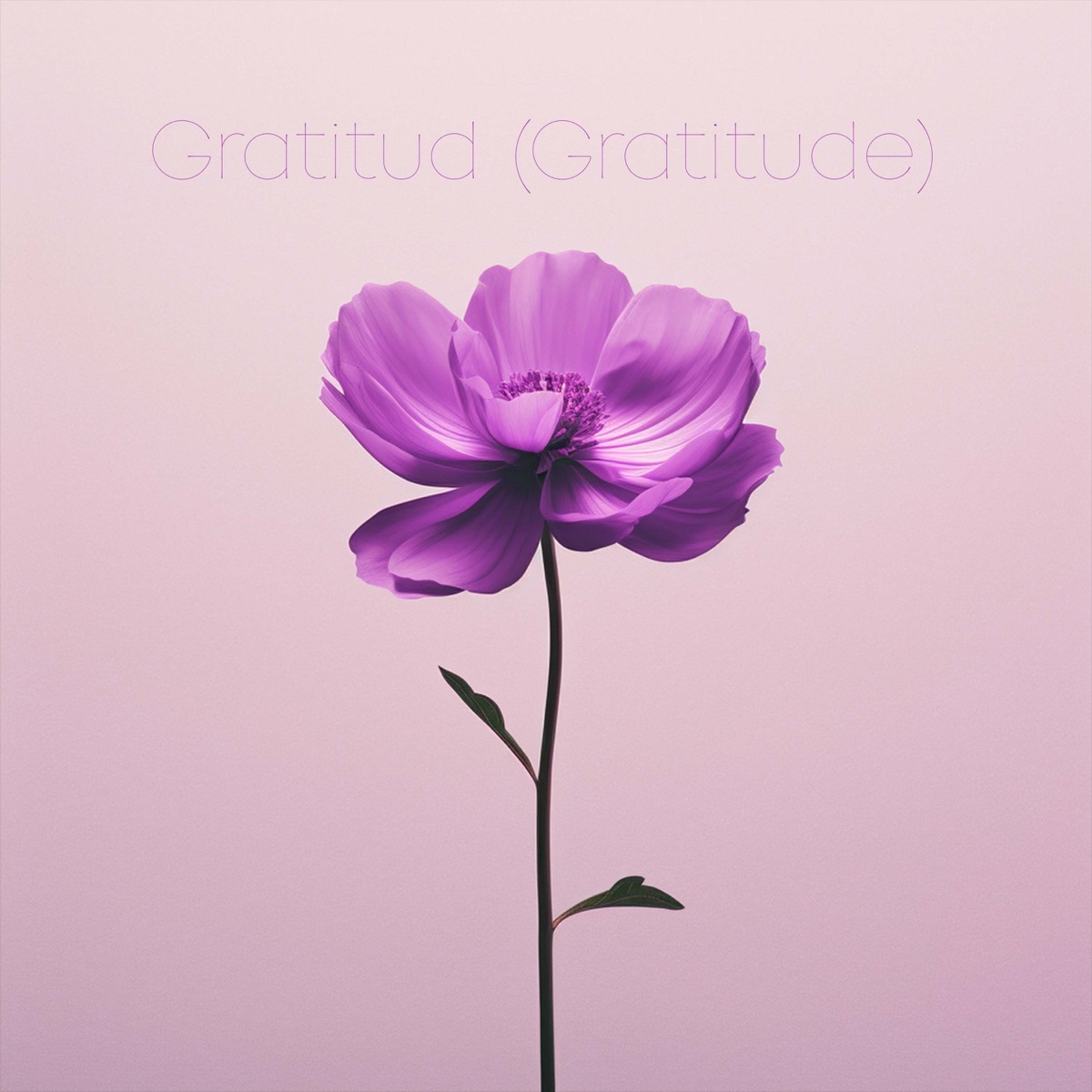Gratitud (Gratitude) - Single by Anthem Worship Español & Genavieve Linkowski album cover