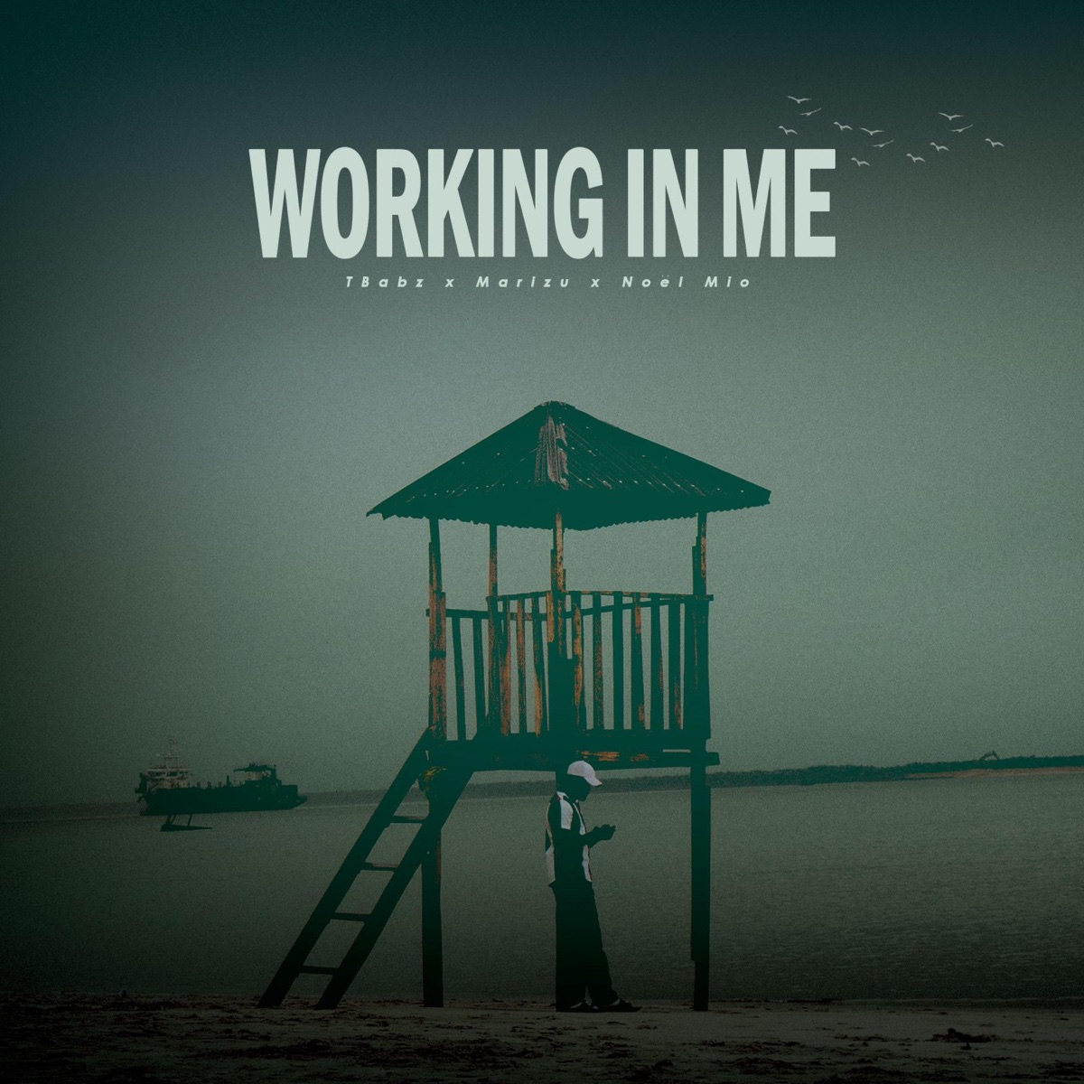 Working In Me - Single by Tbabz, Marizu & Noël Mio album cover