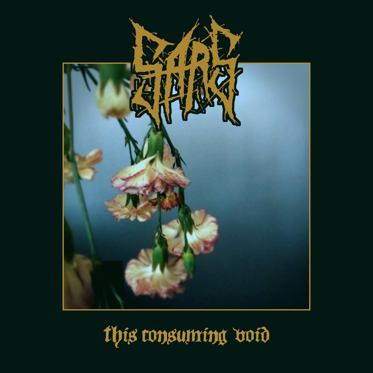 This Consuming Void - Single by SARS album cover