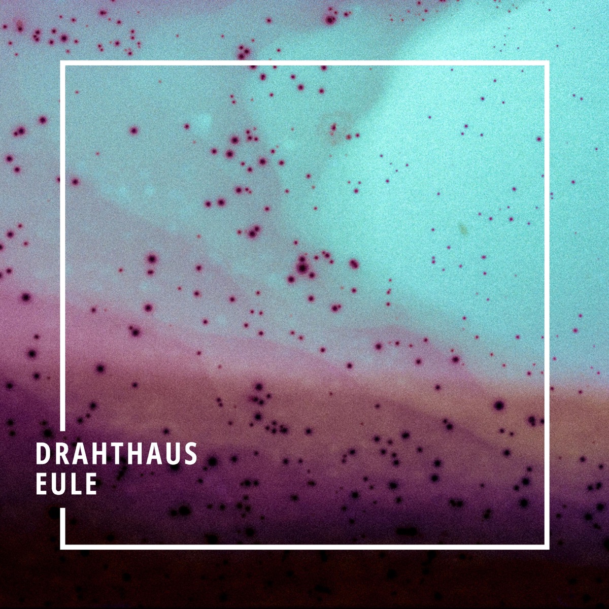 Eule - Single by Drahthaus album cover