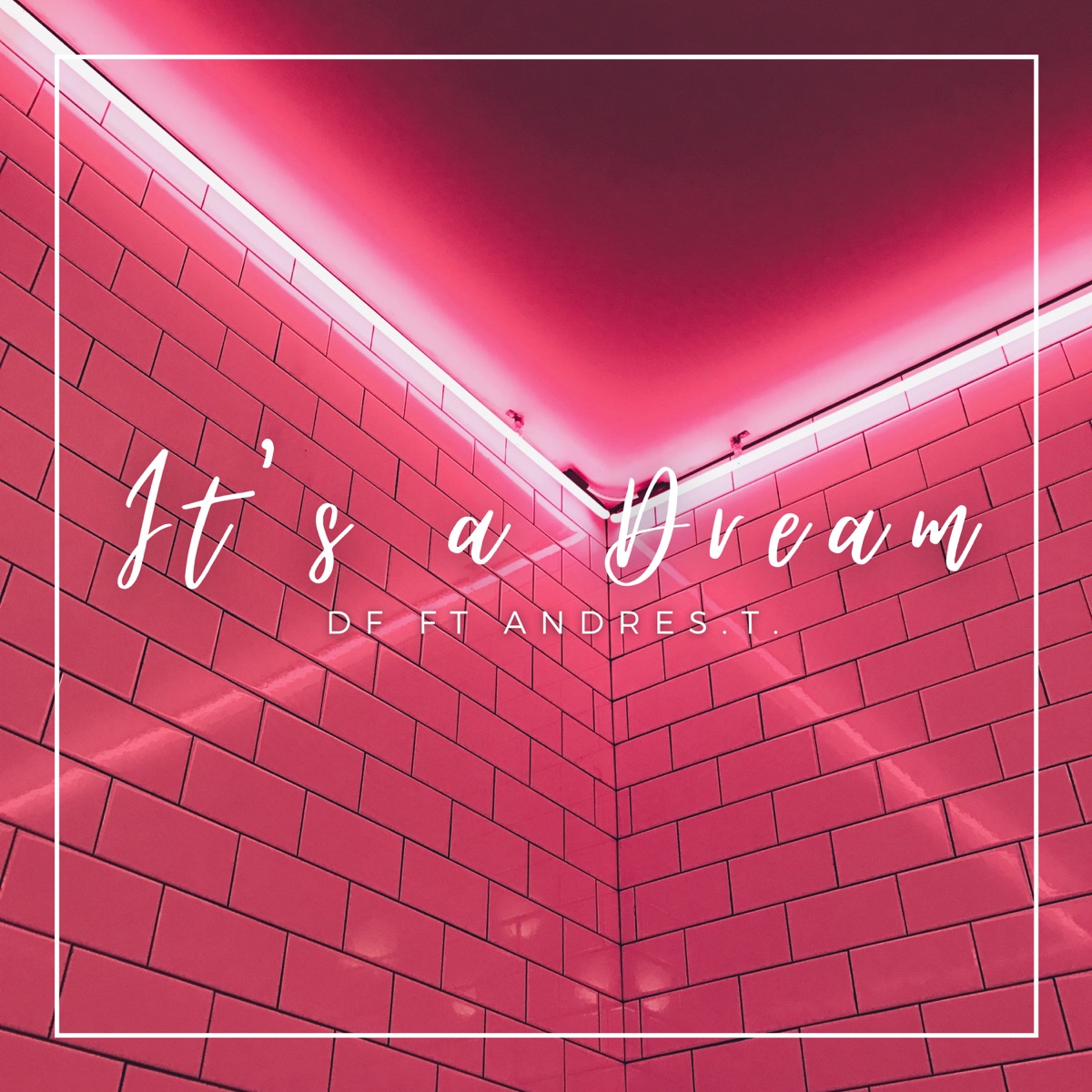 It's a Dream - Single by DF & Andres.T. album cover
