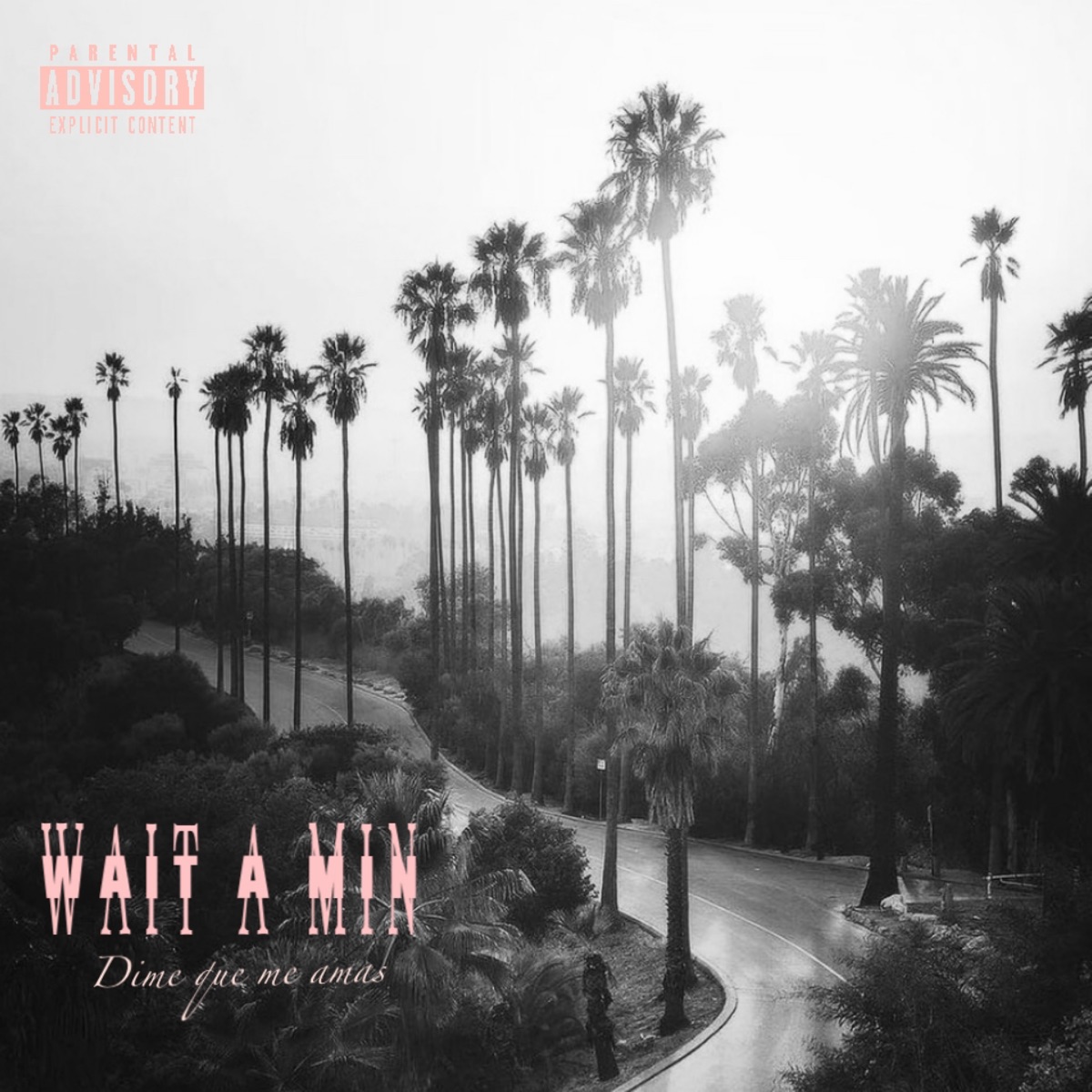 Wait a Min - Single by Shahir album cover