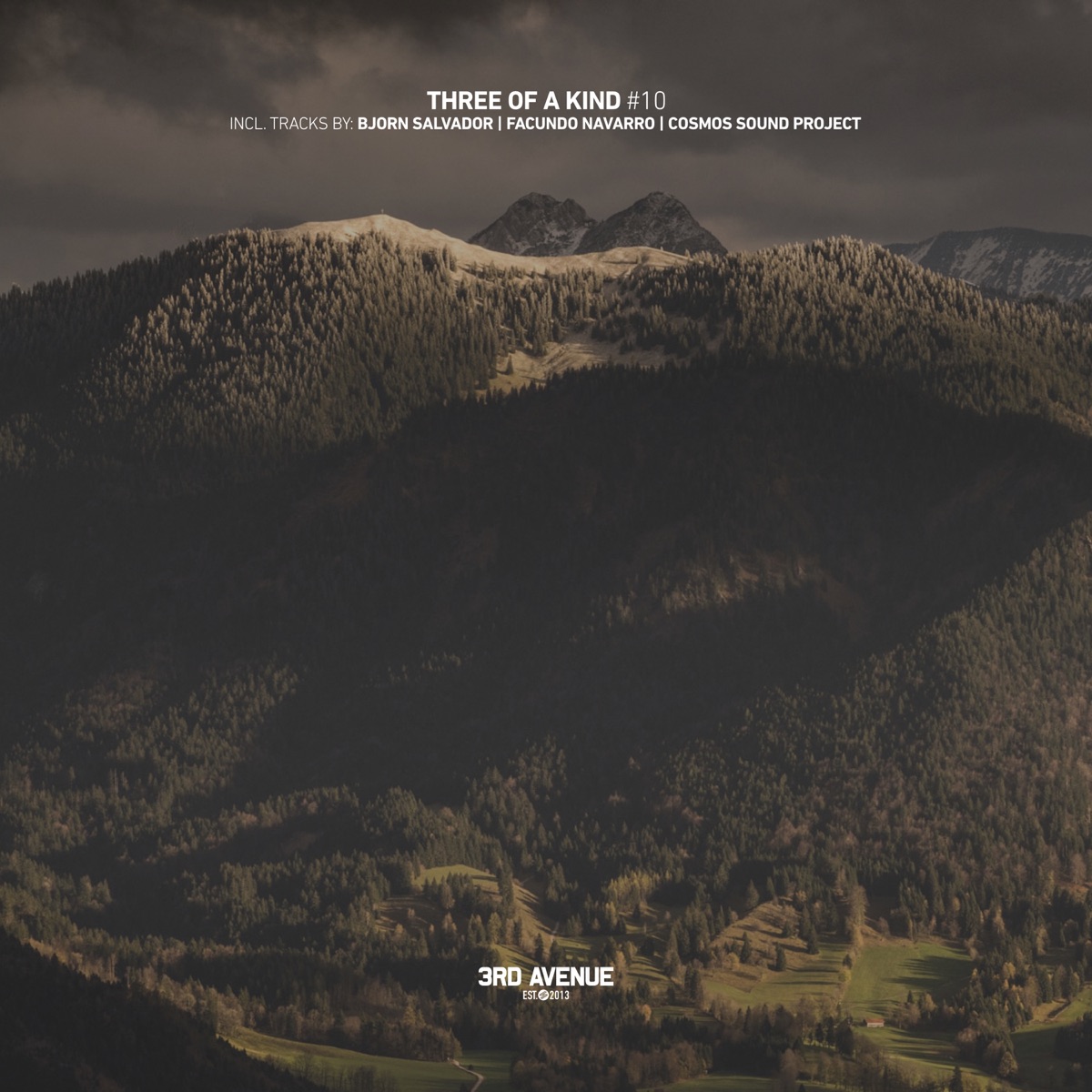 Three of a Kind #10 by Cosmos Sounds Project, Bjorn Salvador & Facundo Navarro album cover