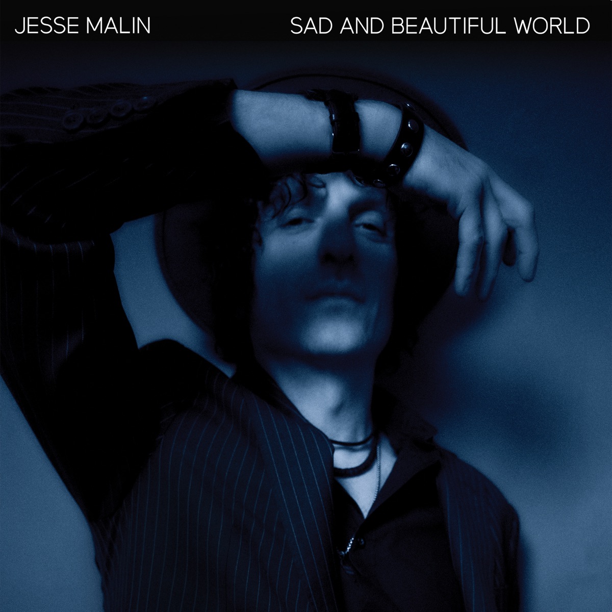Sad and Beautiful World by Jesse Malin album cover