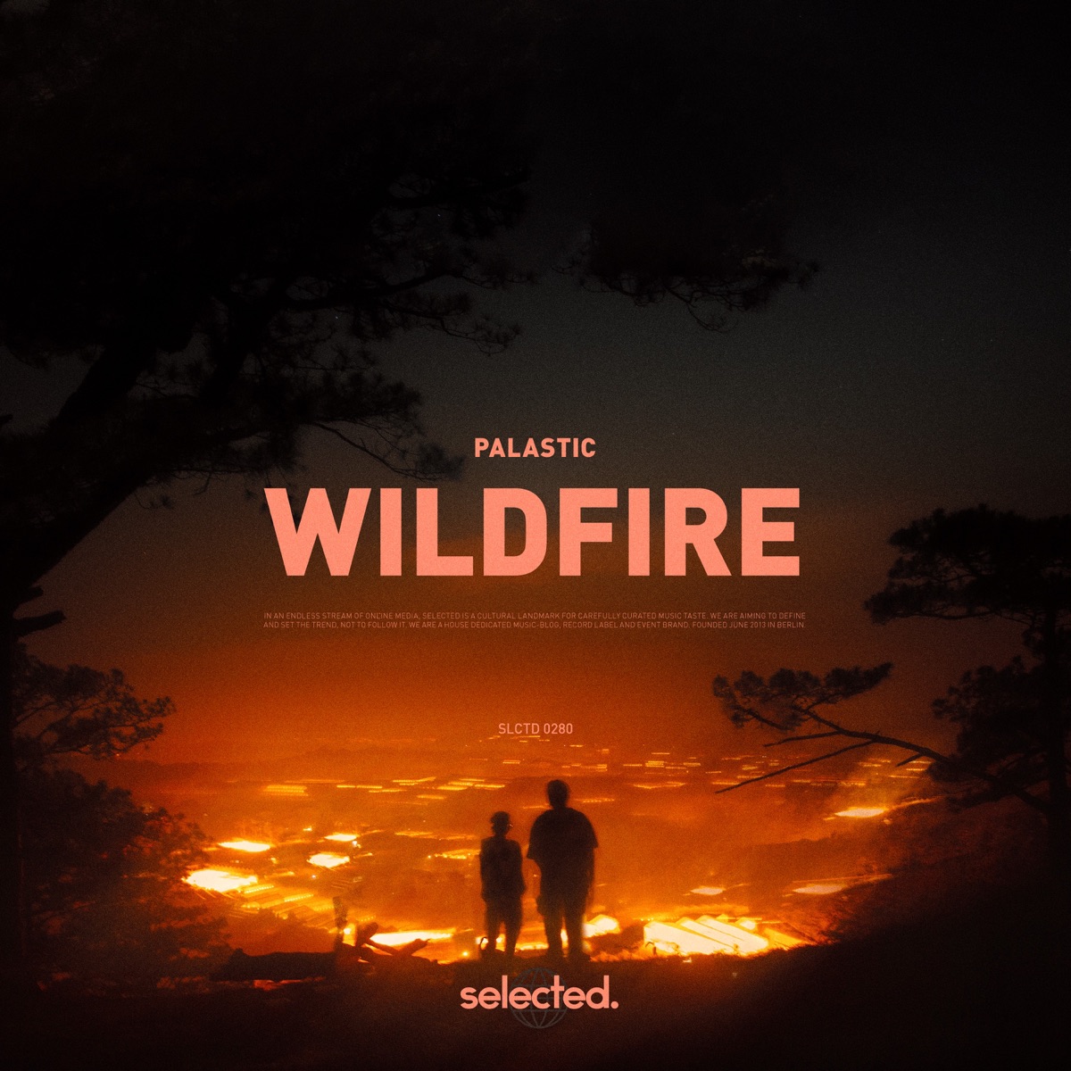 Wildfire - Single by Palastic album cover