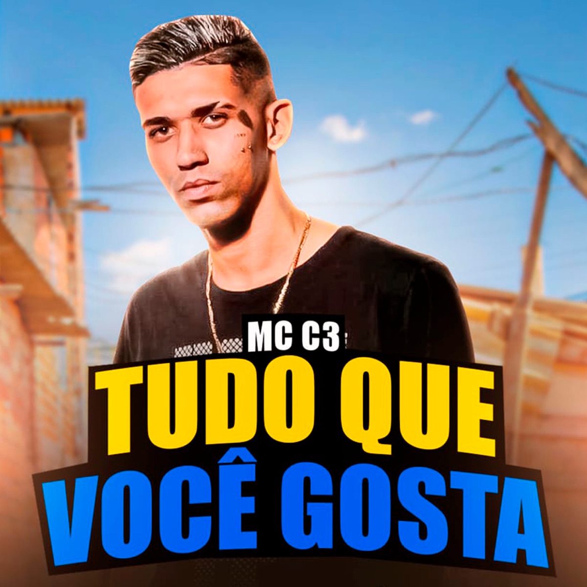 Tudo Que Você Gosta - Single by Mc C3 album cover