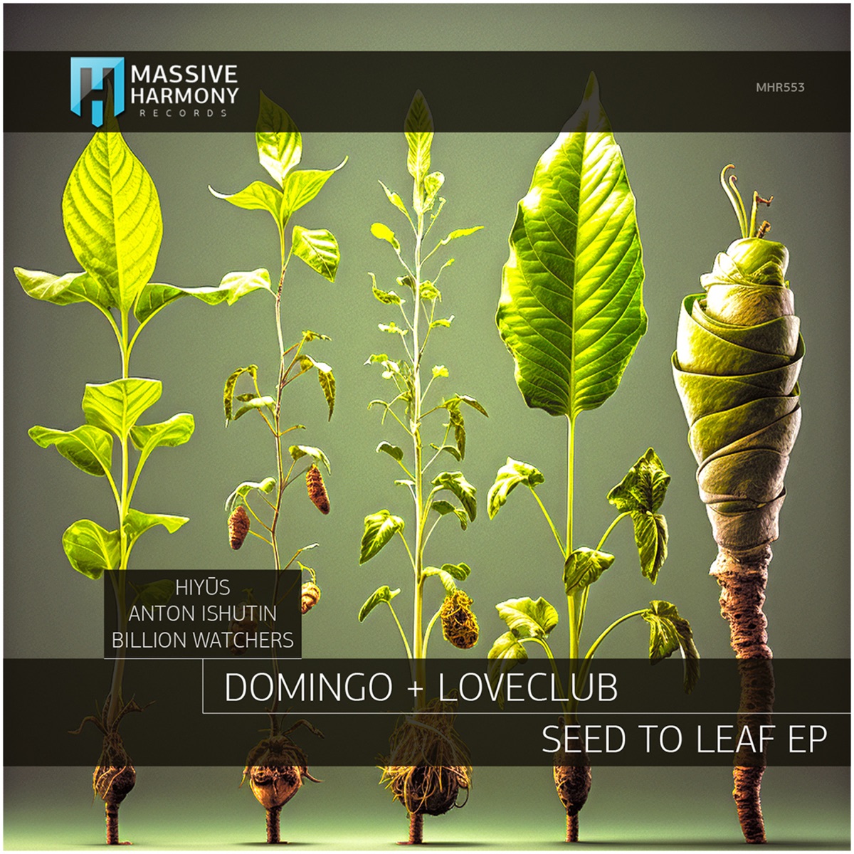 Seed to Leaf - EP by Loveclub, Domingo + & Hiyūs album cover